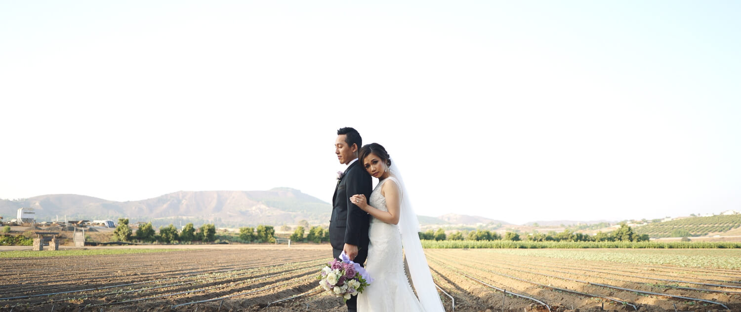 Daisy & Rodney :: Wedding Highlights