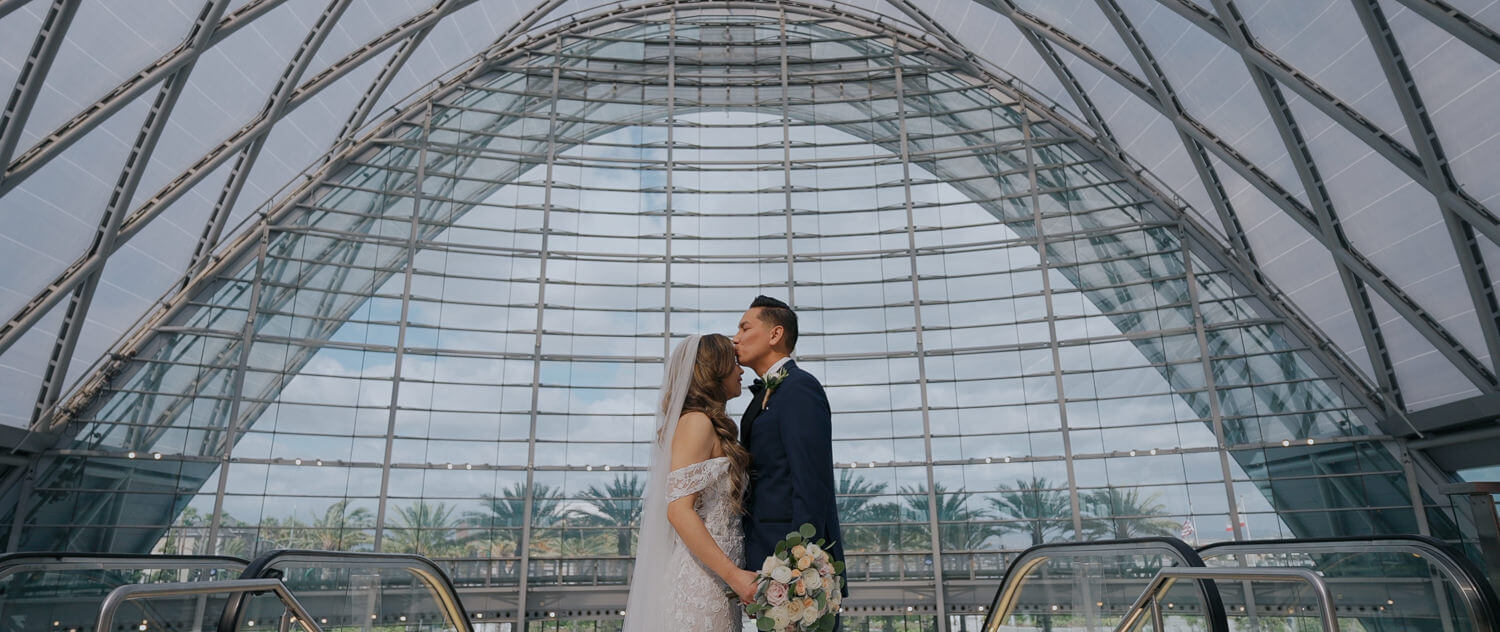 Pamela & Tony :: Wedding Highlights